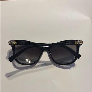 Coach Black Wayfarer Sunglasses with Gold Accents HC8187B